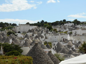 DSCN0103