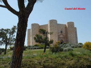 DSCN0193